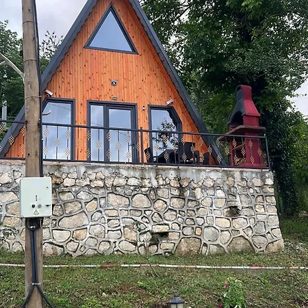 çekirge Sakarya (Marmara)