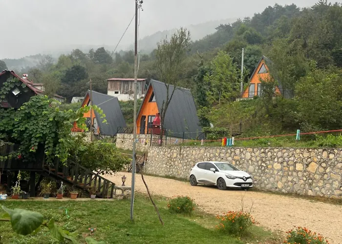 çekirge * Sakarya (Marmara)